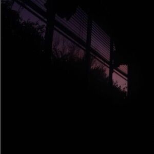 Meet your Posher, Araceli